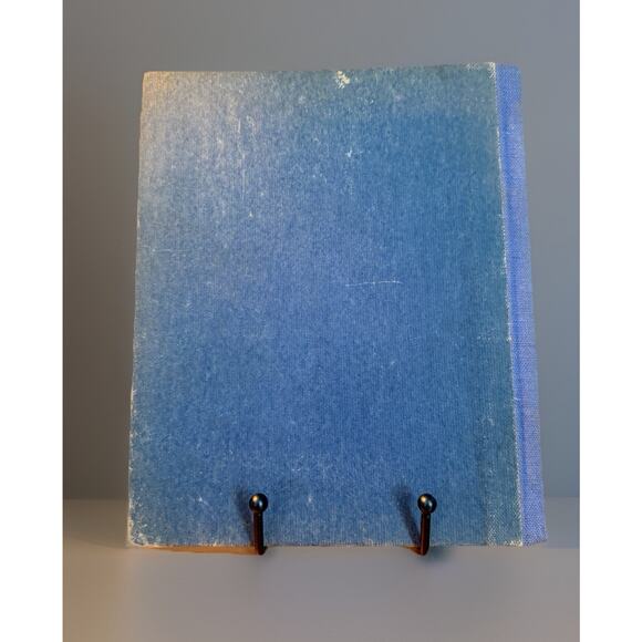 Vintage Children’s Book THE SONG OF THE LITTLE BROWN BIRD Gillette French 1941 - Picture 2 of 13